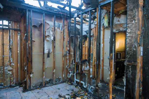 Professional Fire Damage Repair technician working in Opelika, AL